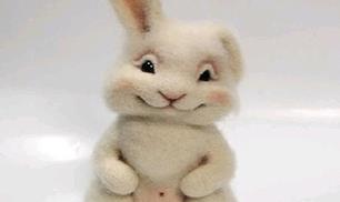 Diy Cute Wool Rabbit